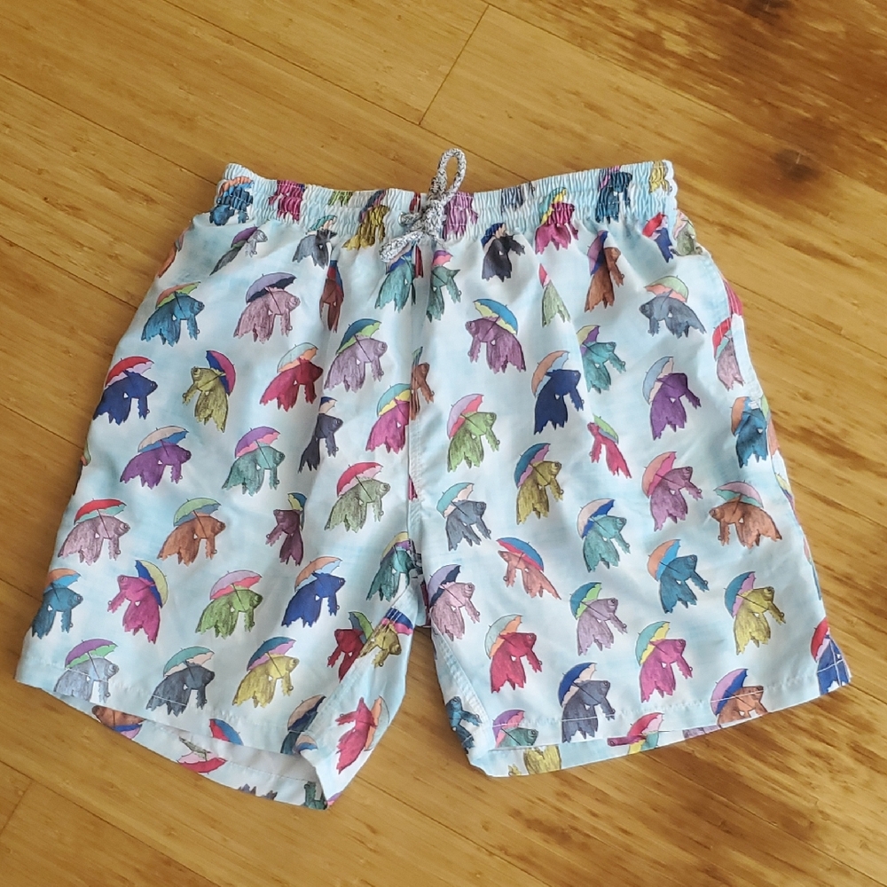 Fun Men's Swimsuit